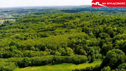 Działka Sprzedaż Skrzyszów
