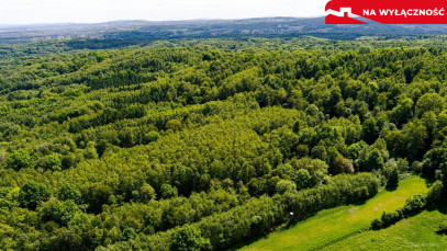 Działka Sprzedaż Skrzyszów