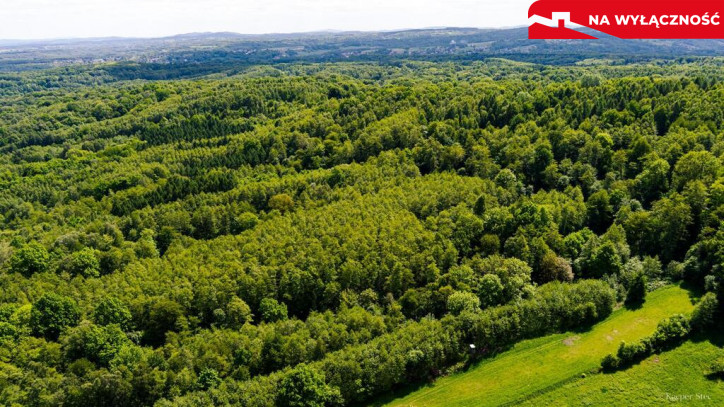 Działka Sprzedaż Skrzyszów 5
