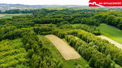 Działka Sprzedaż Skrzyszów
