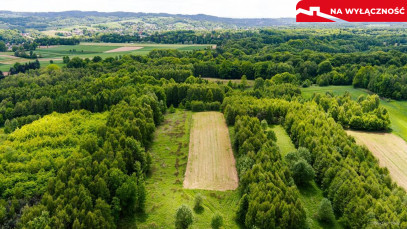 Działka Sprzedaż Skrzyszów