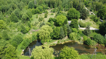 Dom Sprzedaż Gródek
