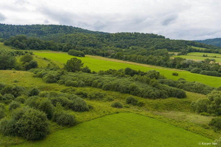 Dom Sprzedaż Stężnica 15