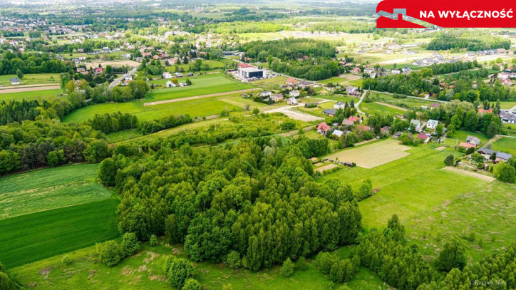 Działka Sprzedaż Skrzyszów 5