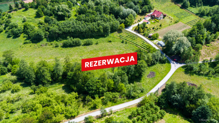 Działka Sprzedaż Szczepanowice 3