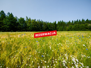 Działka Sprzedaż Domosławice