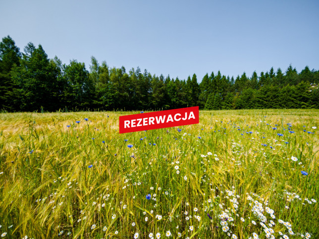 Działka Sprzedaż Domosławice 2