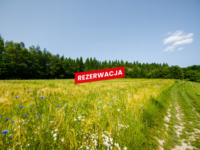 Działka Sprzedaż Domosławice 14