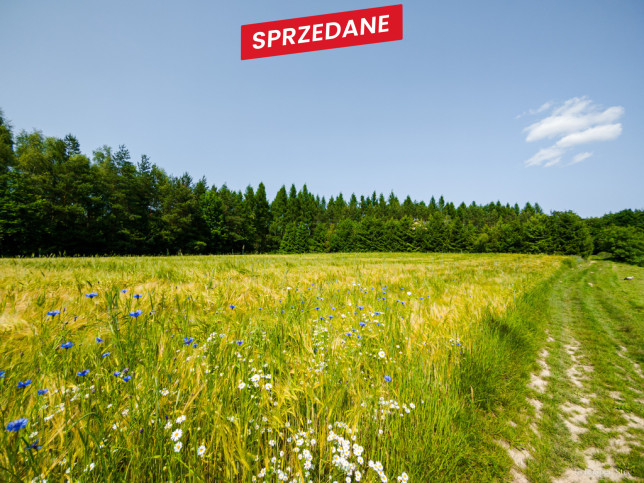 Działka Sprzedaż Domosławice 14