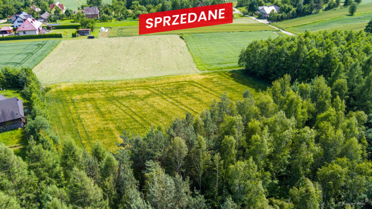 Działka Sprzedaż Domosławice 17