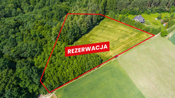 Działka Sprzedaż Domosławice 1