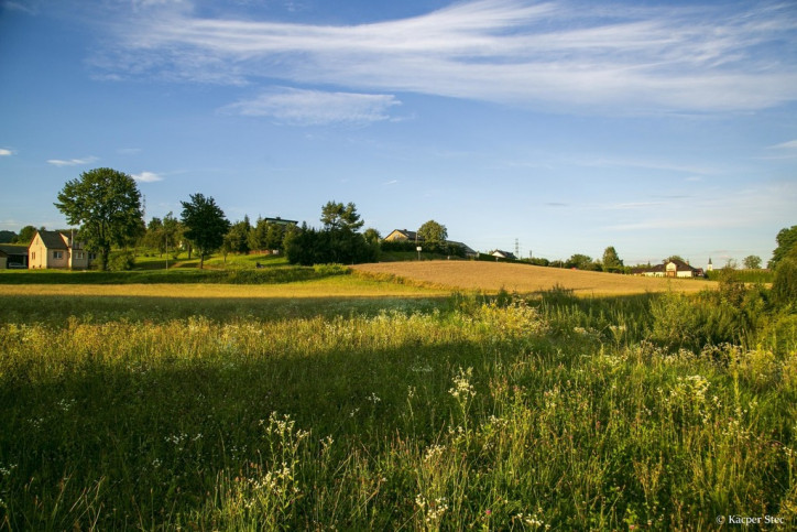 Działka Sprzedaż Siemiechów 6
