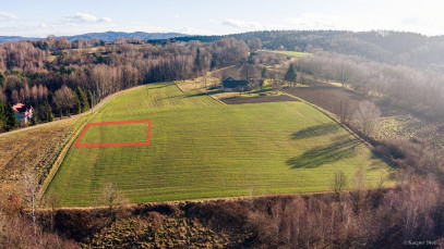 Działka Sprzedaż Tuchów Rolnicza