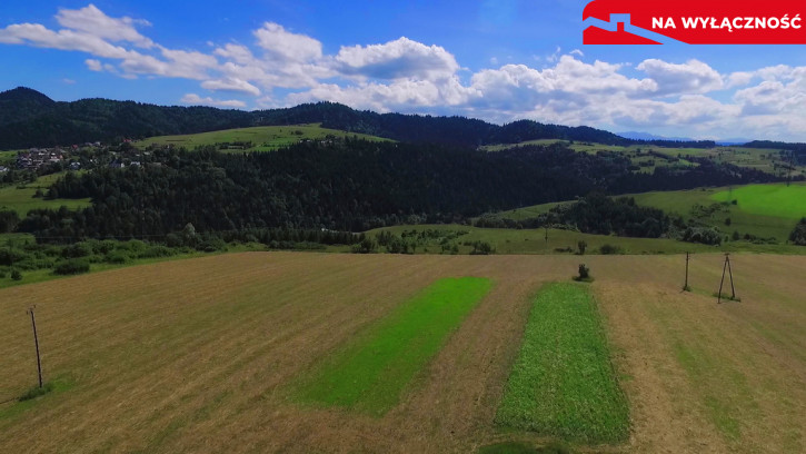 Działka Sprzedaż Grywałd 3