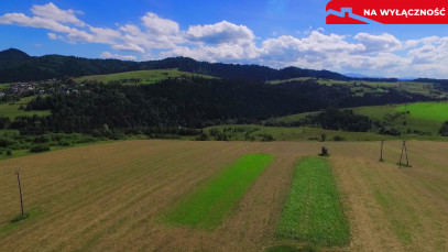 Działka Sprzedaż Grywałd