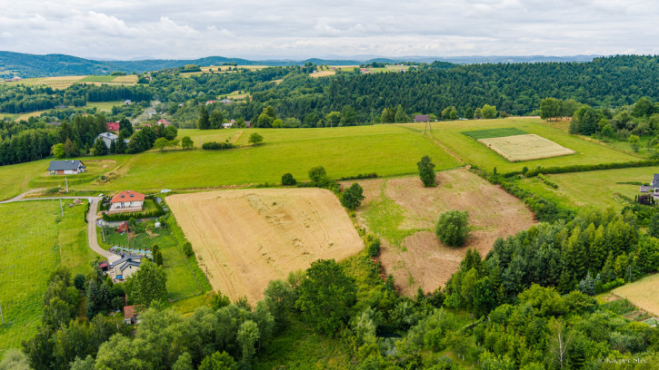 Działka Sprzedaż Tuchów 4