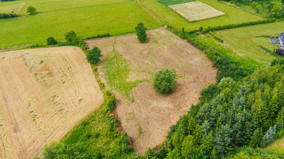 Działka Sprzedaż Tuchów
