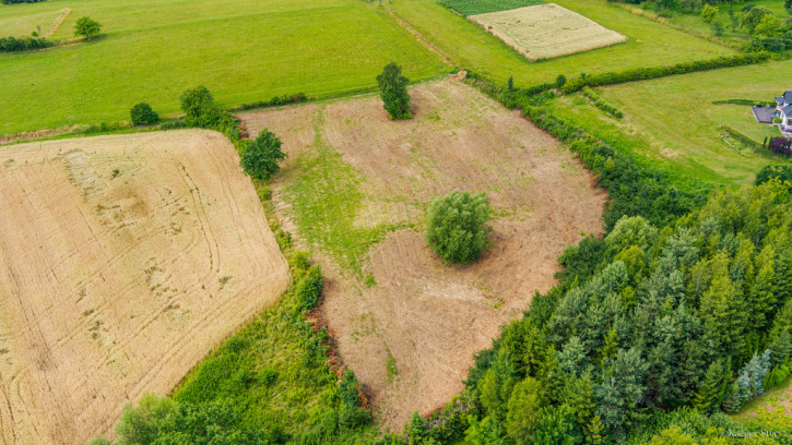 Działka Sprzedaż Tuchów 2
