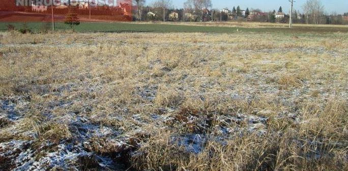 Działka Sprzedaż Boguchwała 1