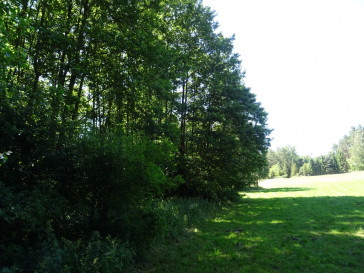 Działka Sprzedaż Adamów