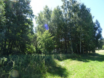 Działka Sprzedaż Adamów
