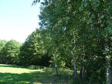 Działka Sprzedaż Adamów