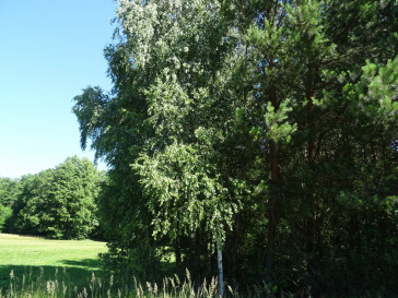 Działka Sprzedaż Adamów