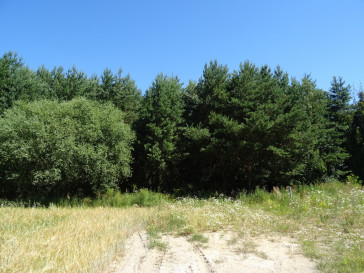 Działka Sprzedaż Adamów