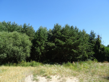 Działka Sprzedaż Adamów
