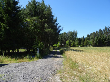Działka Sprzedaż Adamów