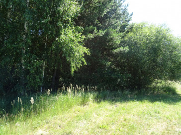Działka Sprzedaż Adamów