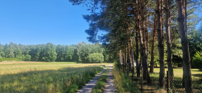 Działka Sprzedaż Adamów