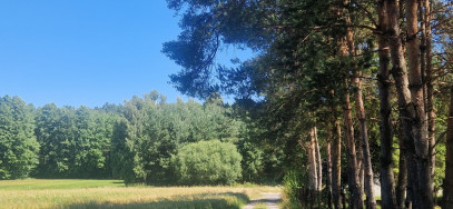 Działka Sprzedaż Adamów