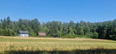 Działka Sprzedaż Adamów