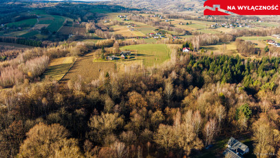 Działka Sprzedaż Tuchów