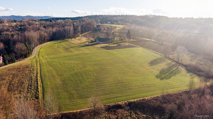 Działka Sprzedaż Tuchów 5
