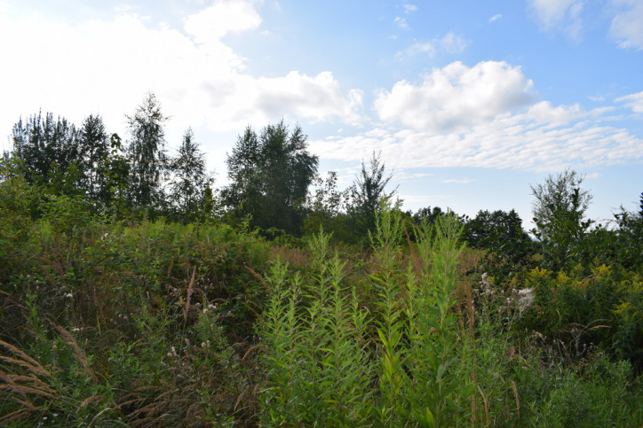 Działka Sprzedaż Hermanowa 3