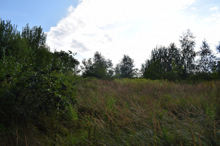 Działka Sprzedaż Hermanowa 6