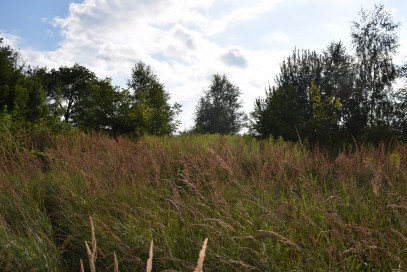 Działka Sprzedaż Hermanowa