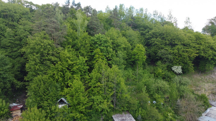 Dom Sprzedaż Kazimierz Dolny Doły Doły 3