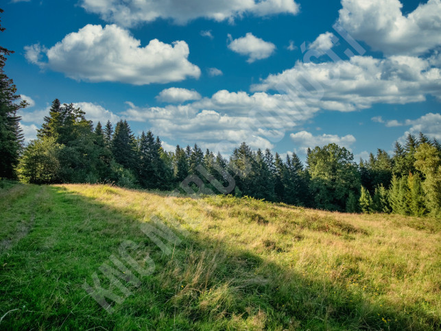 Działka Sprzedaż Lachowice 8