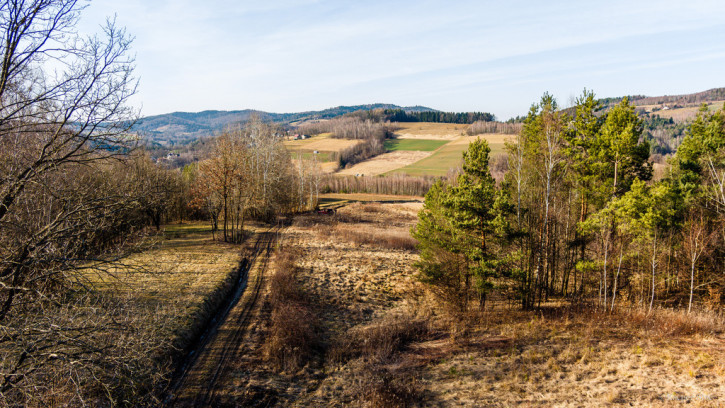 Działka Sprzedaż Olszowa 3