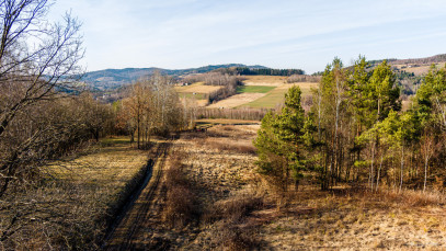 Działka Sprzedaż Olszowa