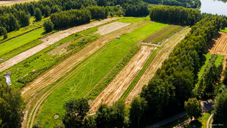 Działka Sprzedaż Skrzyszów 11