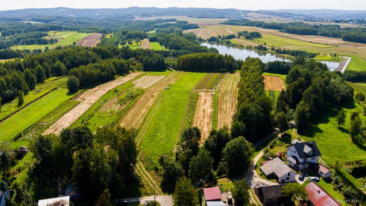 Działka Sprzedaż Skrzyszów 14