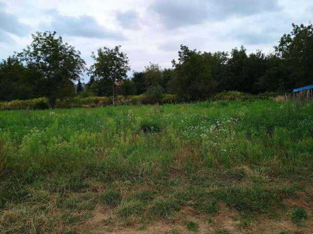Działka Sprzedaż Jarosław 3