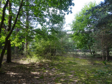 Działka Sprzedaż Cieszanowice