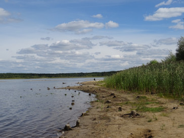 Działka Sprzedaż Cieszanowice