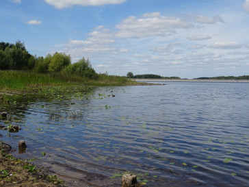 Działka Sprzedaż Cieszanowice