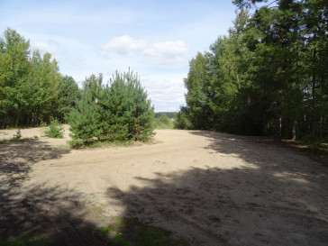 Działka Sprzedaż Cieszanowice